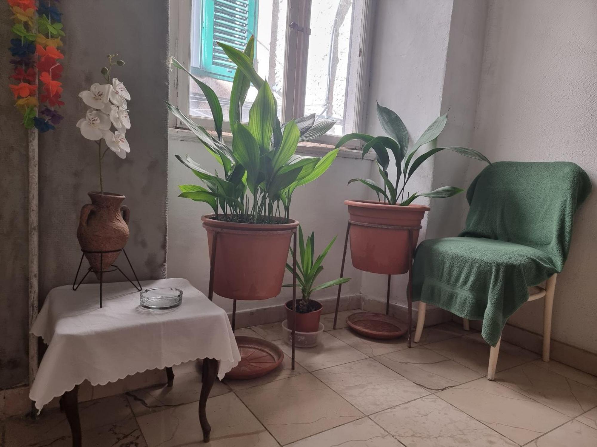 Center Room D16 In The Ancient Roman Palace Split Bagian luar foto